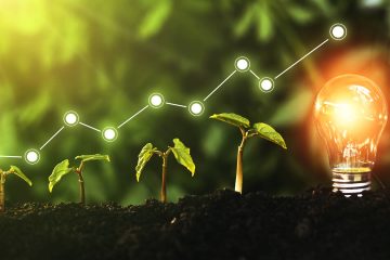 Navigating Business Growth